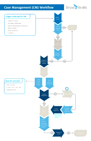 Case Management Process Flow 