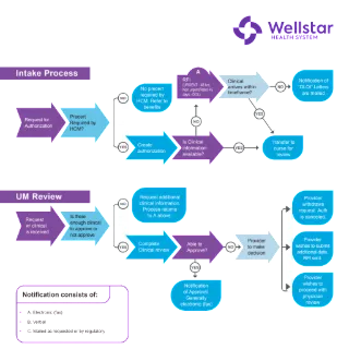 Utilization Management Process Flow