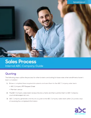 Sales Process Client Flyer