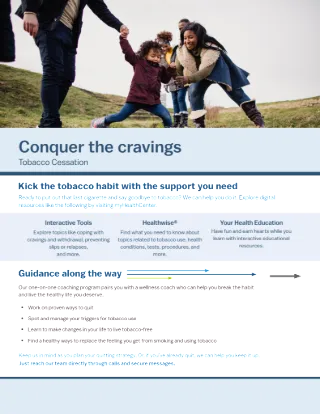 Conquer the Cravings