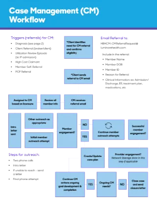 Case Management Process Flow (Referral)