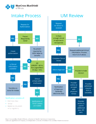  UM Management Process Flow