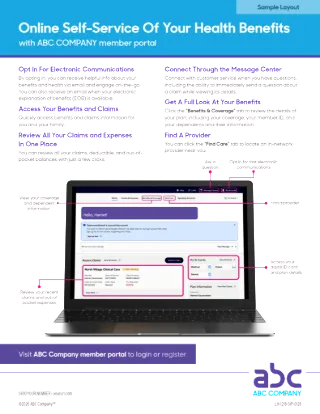 Portal Overview Flyer