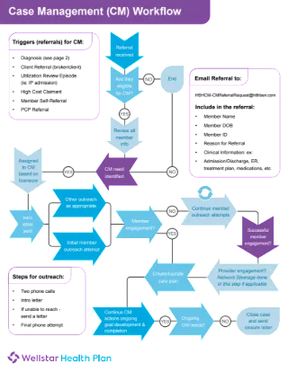 Wellstar Process Flow (Traditional)