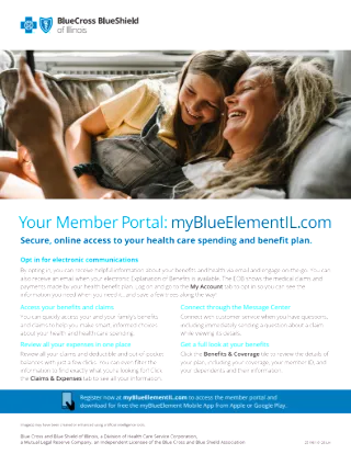 myBlueElement Portal Member Flyer 
