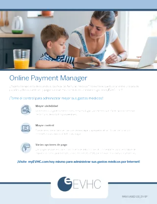 Online Payment Manager Flyer (Spanish)