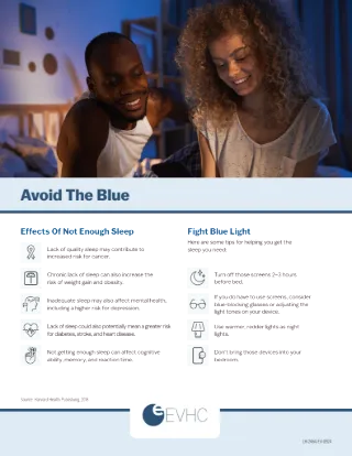 Avoid the Blue Member Flyer